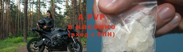 спиды Аркадак