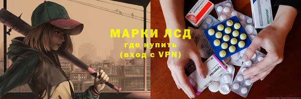 спиды Аркадак