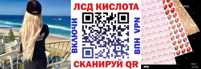 кракен как войти Фатеж Марки 25I-NBOMe 1,5мг