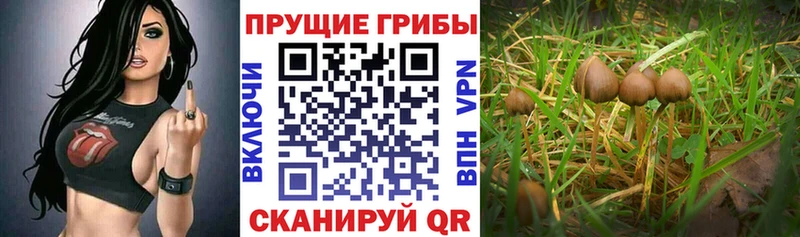 Галлюциногенные грибы GOLDEN TEACHER Фатеж