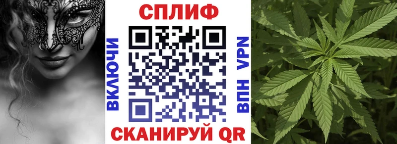 MEGA маркетплейс  darknet наркотические препараты  Конопля OG Kush  Фатеж 